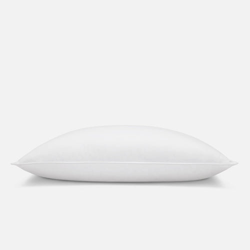Down Pillow - Standard / Medium