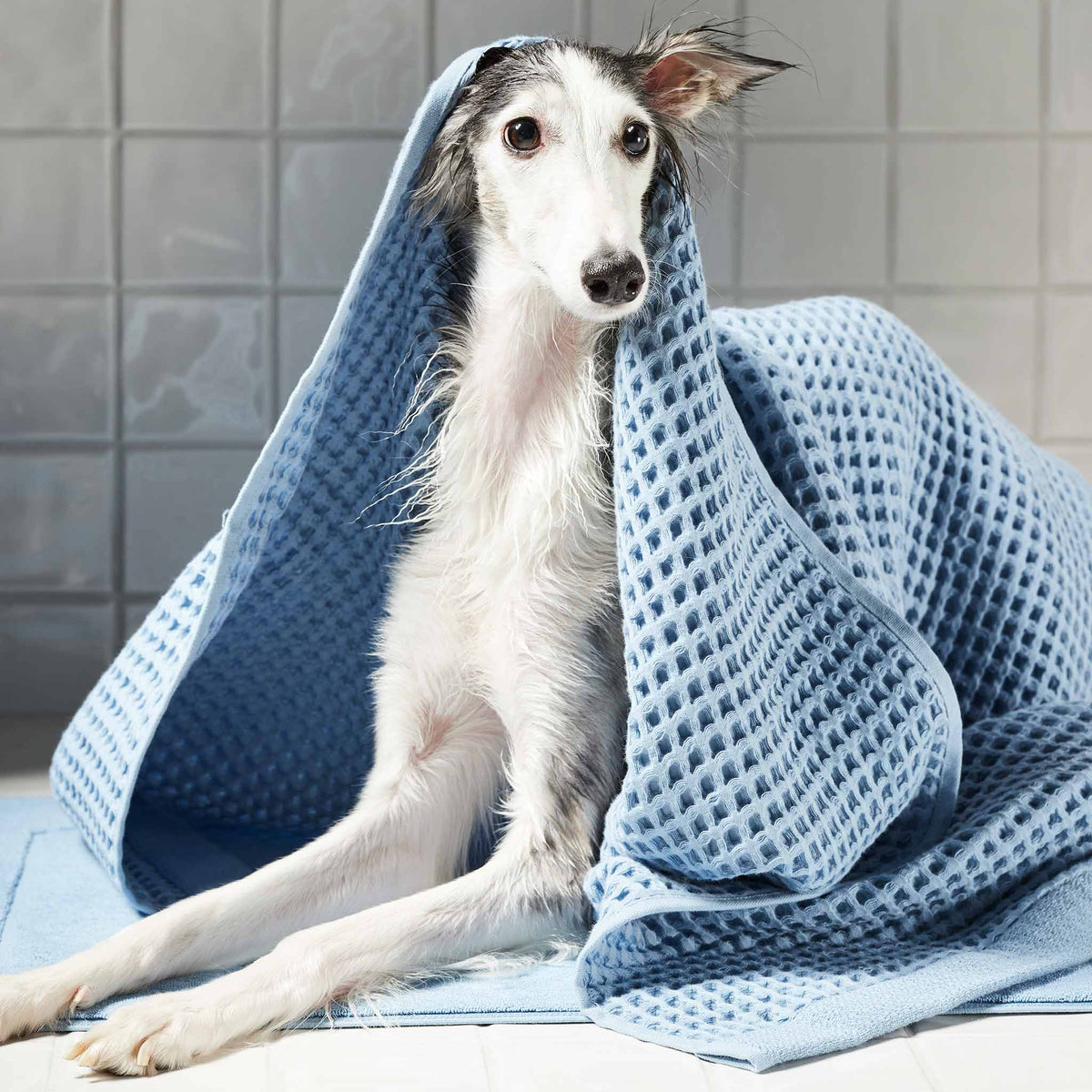 Dreamweave Waffle Bath Towels Set of 2