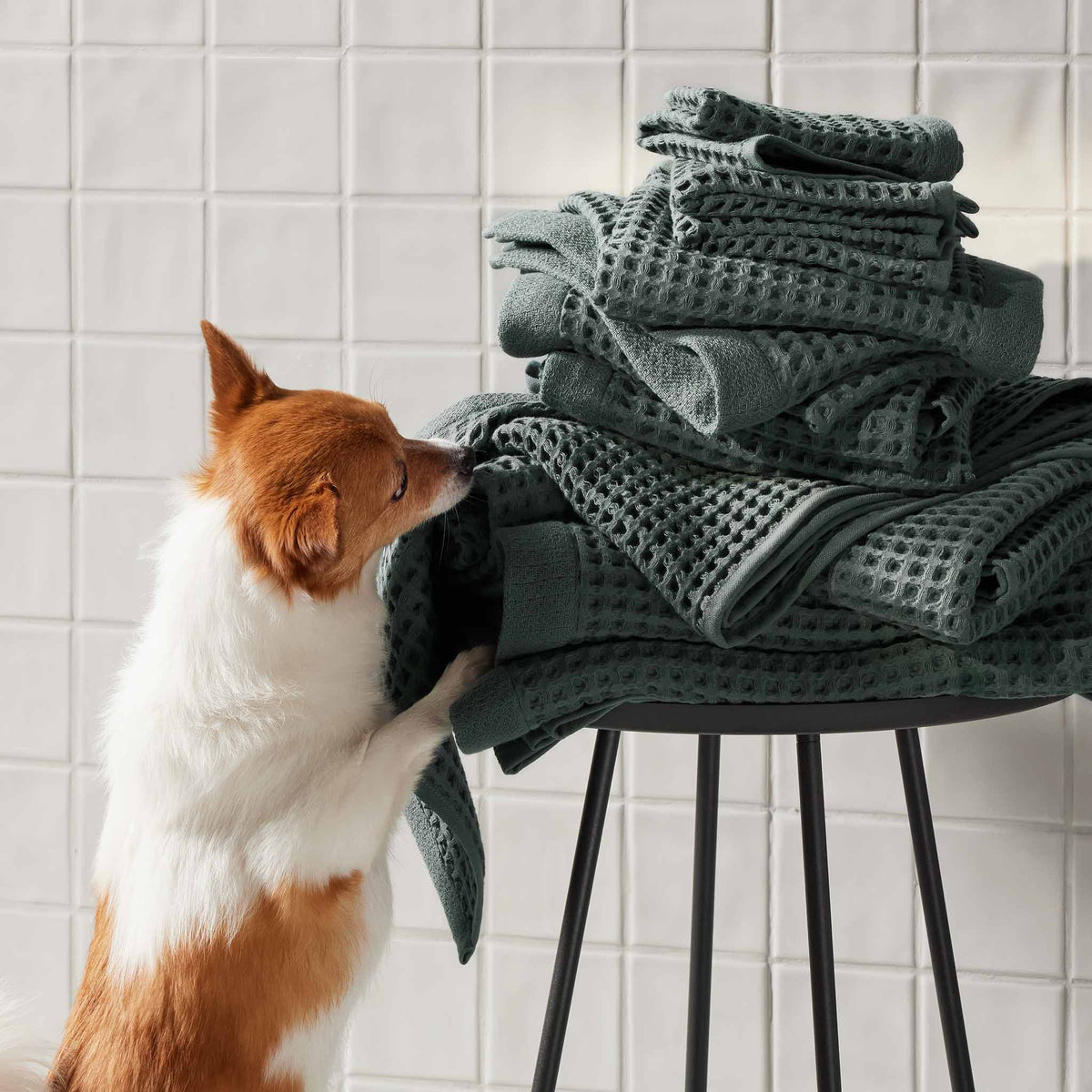 Dreamweave Waffle Bath Towels Set of 2